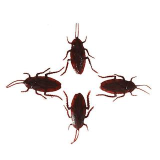 ابزار شوخی سوسک